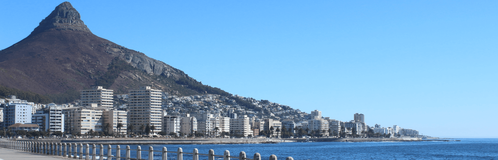 Sea Point Promenade: A Guide to Cape Town’s Most Popular Walkway